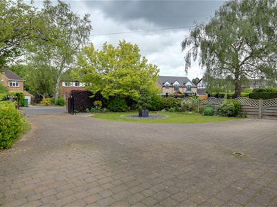 Picture 21